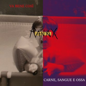 Copertina dell'album Va Bene Così / Carne, Sangue e Ossa, di PanaX