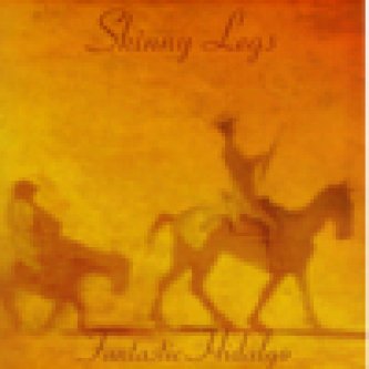 Copertina dell'album Fantastic Hidalgo, di Skinny Legs