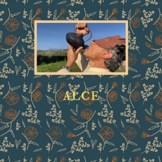 Copertina dell'album Tisana, di AlCe