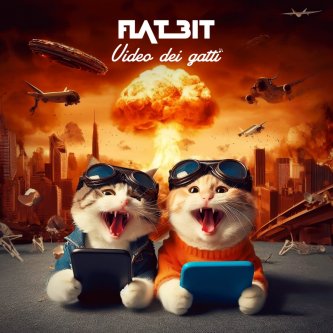 Copertina dell'album Video dei gatti, di Flat Bit
