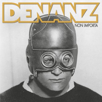 Copertina dell'album Non importa, di DENANZ