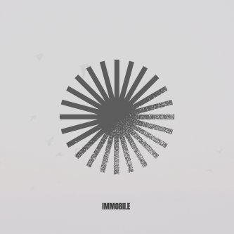 Copertina dell'album Immobile, di Daniele Ciavarro