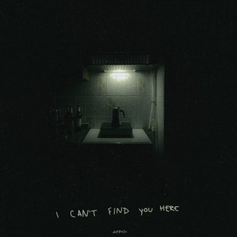 I Can't Find You Here