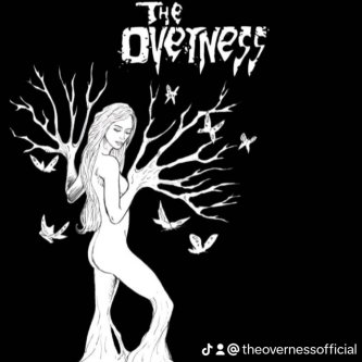 Copertina dell'album The hard path, di The Overness