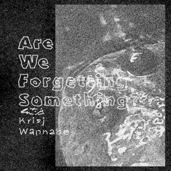 Copertina dell'album Are We Forgetting Something?, di Krisj Wannabe