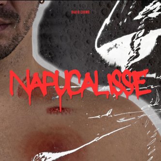 Copertina dell'album Napucalisse, di Dario Cuomo