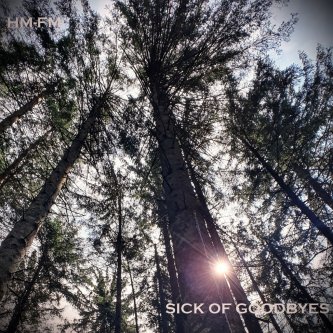 Copertina dell'album Sick Of Goodbyes [lo-fi version], di HM-FM