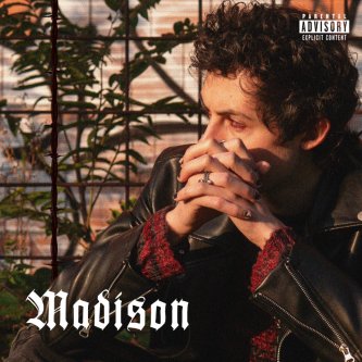 Copertina dell'album Madison, di Vince