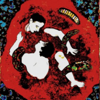 Copertina dell'album La danza del serpente, di Nebüla