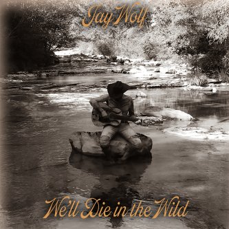 Copertina dell'album We'll Die In The Wild, di JayWolf