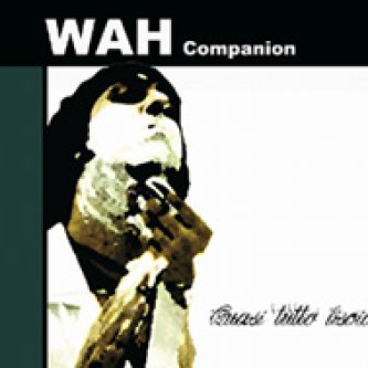 Copertina dell'album Quasi tutto liscio, di Wah Companion