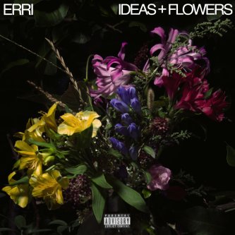 Copertina dell'album Ideas + Flowers, di Erri