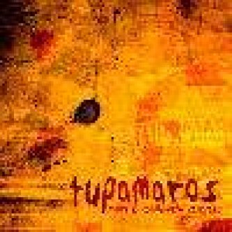 Copertina dell'album Non è cambiato niente, di Tupamaros
