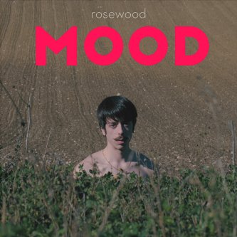 Copertina dell'album mood, di rosewood