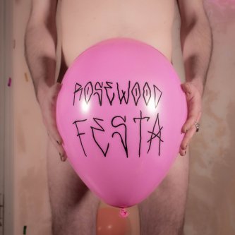 Copertina dell'album festa, di rosewood