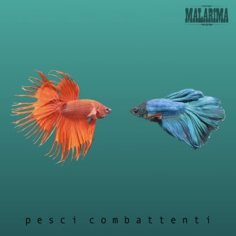 Copertina dell'album Pesci combattenti, di Malarima