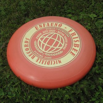 Frisbee