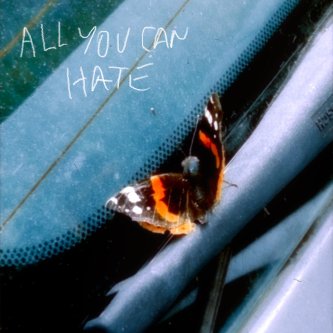 Copertina dell'album Nothing Lasts Forever, di All You Can Hate
