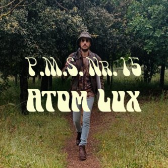 Copertina dell'album Pointless Music Shot Nr. 15, di Atom Lux