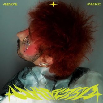 Copertina dell'album Universo, di Anemone