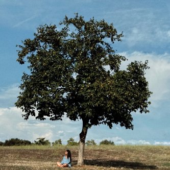 Copertina dell'album Da qui, di Paola Consagra