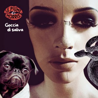 Copertina dell'album Goccia di saliva, di Le Piume di Morris