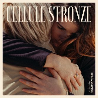 Cellule Stronze
