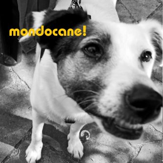 Copertina dell'album Mondocane!, di Mondocane!