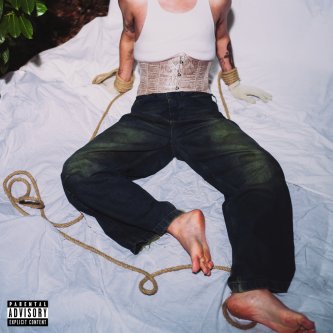 Copertina dell'album DICO MAI (MAI?), di Mafuel