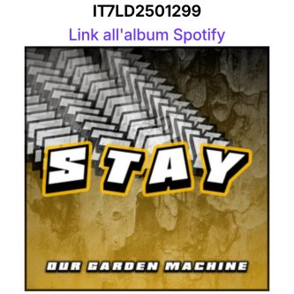 Stay