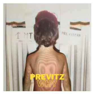 Copertina dell'album WHY, di Previtz