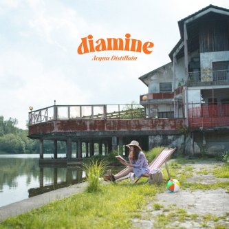 Copertina dell'album diamine, di Acqua Distillata