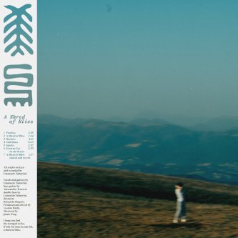 Copertina dell'album A Shred of Bliss, di you