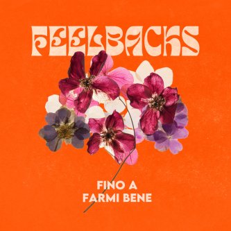 Copertina dell'album FINO A FARMI BENE, di Feelbacks