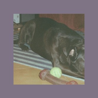 Copertina dell'album Che bella casa, di Ben Peggio