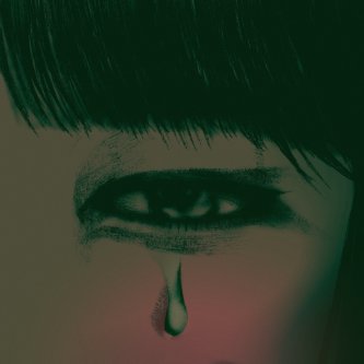 Copertina dell'album Precipitiamo di sicuro, di Katana Koala Kiwi