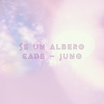 Se un albero cade