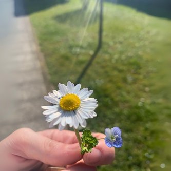 Dentro un altro film