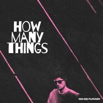 Copertina dell'album How many things, di Red Red Flamingo