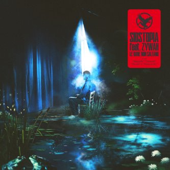 Copertina dell'album LE RANE NON SALTANO, di Sidstopia