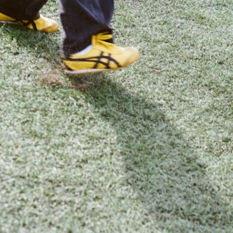 Bittersweet / Cherry Lady