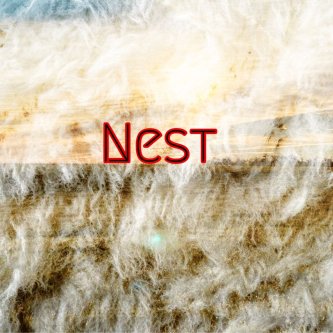 Nest
