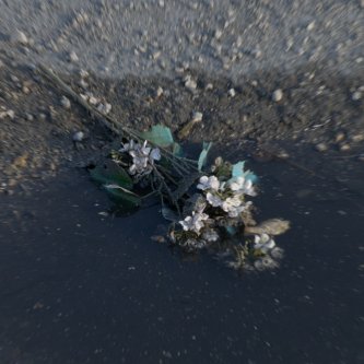 Sempre Tossico È L'amore