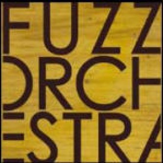 Copertina dell'album s/t, di Fuzz Orchestra