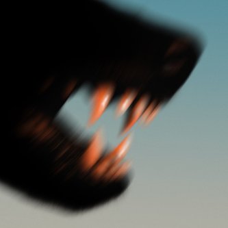 Copertina dell'album L'amore non ha cuore, di Checco Curci