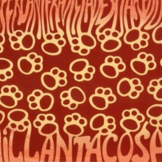 Copertina dell'album Millanta cosae, di Supercanifradiciadespiaredosi