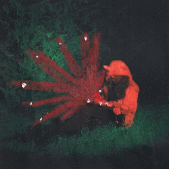 Copertina dell'album separi, di Martina Di Nardo