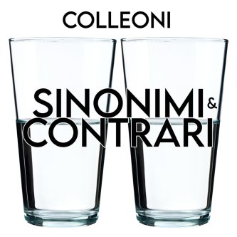 Copertina dell'album Sinonimi e contrari, di COLLEONI
