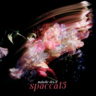Copertina dell'album spacca15 (harakiri), di maladie des if