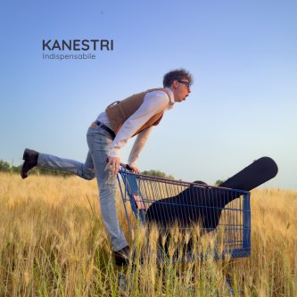 Copertina dell'album Indispensabile, di Kanestri